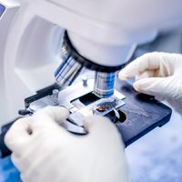 Судебно-медицинская экспертиза